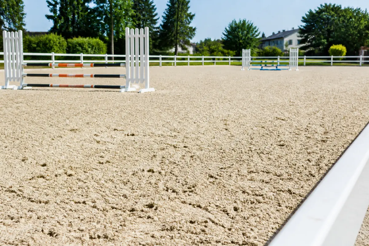 Photo d'illustration : Carrière de dressage/rond de longe