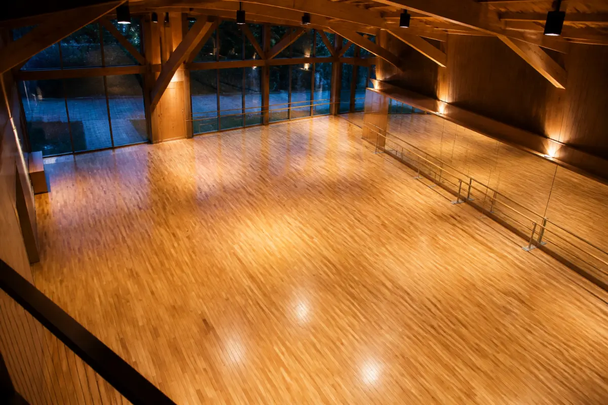 Photo d'illustration : Salle de danse