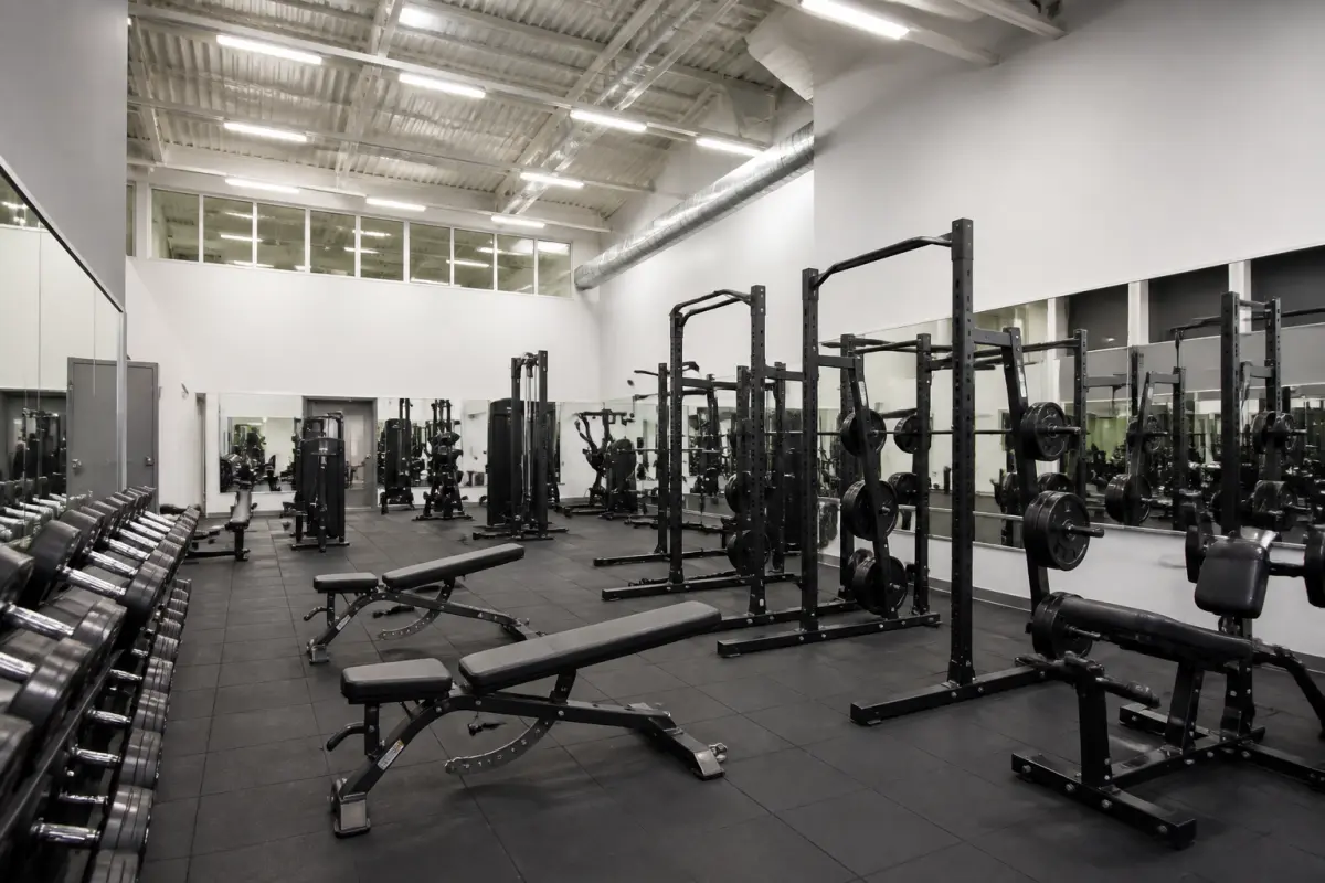 Photo d'illustration : Salle de musculation/cardiotraining