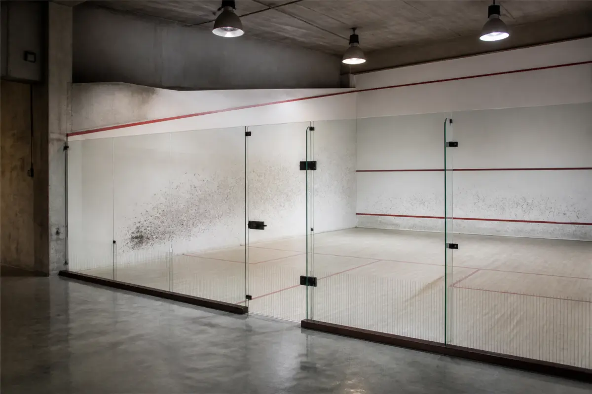 Photo d'illustration : Salle ou terrain de squash