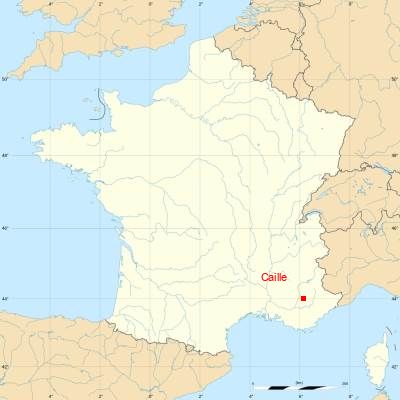 Fond de carte avec Caille