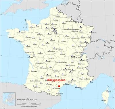 Carte de Villespassans