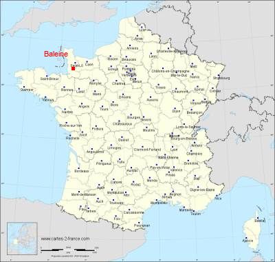 Carte de Baleine