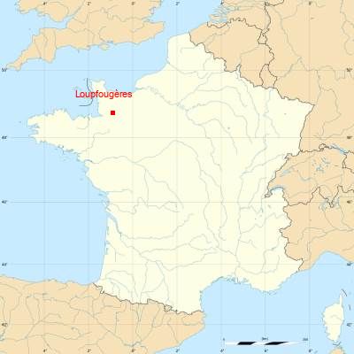 Fond de carte avec Loupfougères