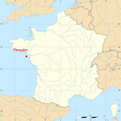 Fond de carte avec Fenouiller
