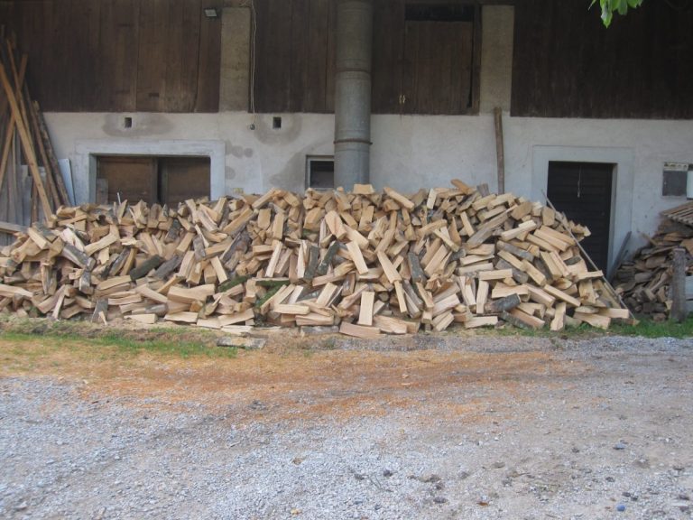 Chauffage au bois : poêle vs insert, que choisir ?