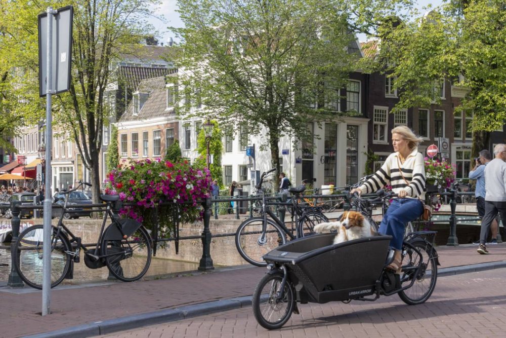 Das elektrische Lastenfahrrad, der Verbündete urbaner Familien