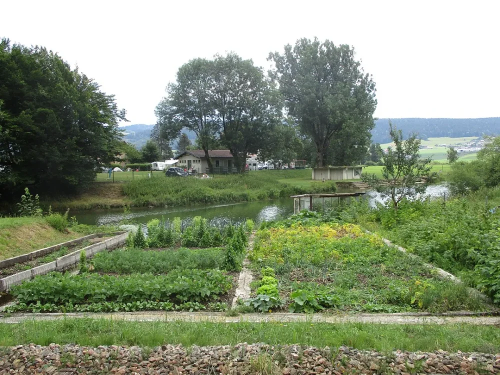 potager familial avec légumes de saison et calendrier des semis