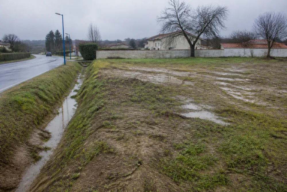 Observation réaliste d’un terrain constructible humide avec fossé avant achat immobilier