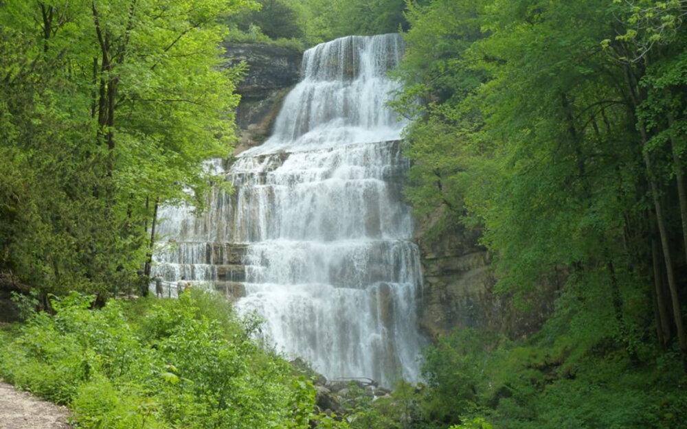 Vue large sur les Cascades du Hérisson au cœur d'un sous-bois jurassien