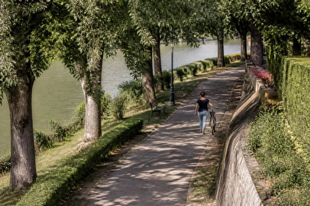 Promenade aménagée près du canal de la Haute-Seine à Romilly-sur-Seine avec arbres, eau et vélo