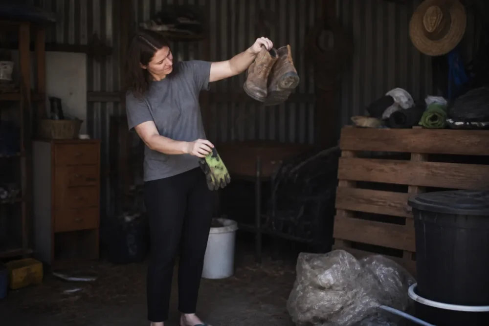 Gants de jardin et cartons rangés pour prévenir les morsures d’araignées à la maison