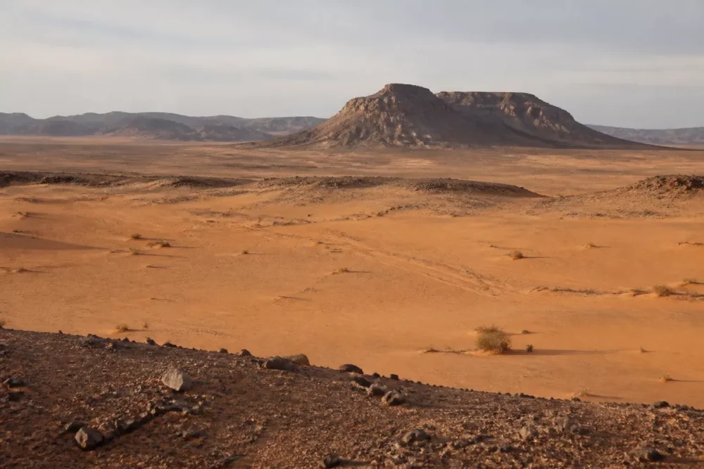 Paysage du Sahara illustrant le principal repère naturel de l’Afrique du Nord