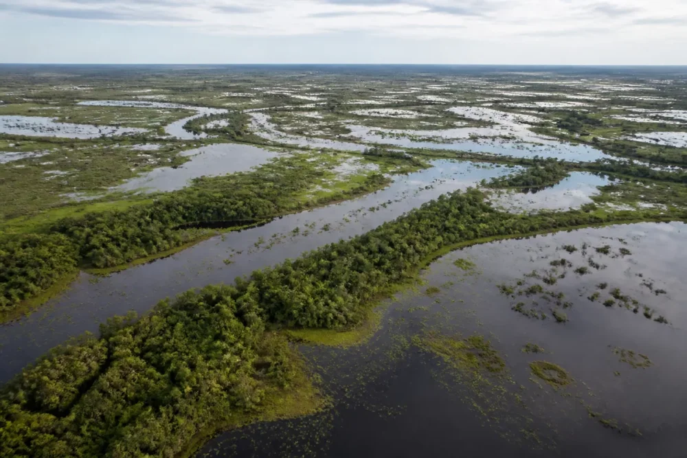 Vue aérienne réaliste du Pantanal brésilien pendant la saison humide.