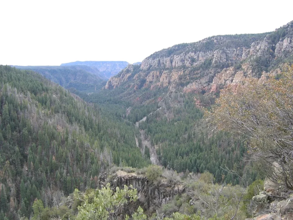 Oak Creek Canyon route panoramique et forêt près de Sedona