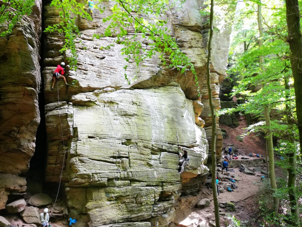 Grimpeurs sur une falaise de grès en forêt avec cordes et assurage