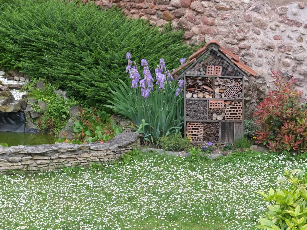 Hotel à insectes au jardin, avec iris et haie : favoriser les auxiliaires